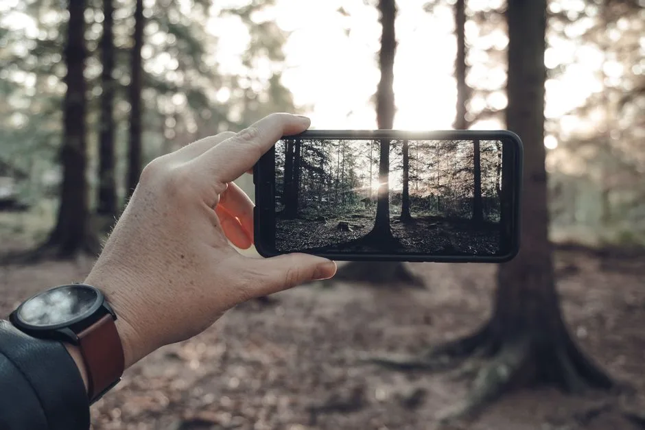 A hand holding a phone outdoors at sunrise, opening a new day's reading before the world gets loud
