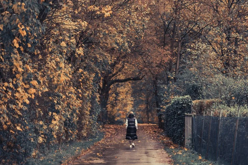 A woman reading her Bible by lamplight, letting God's Word illuminate her path through whatever season she is walking through