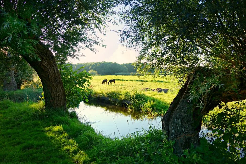 A quiet green pasture beside still water, rest that restores the soul