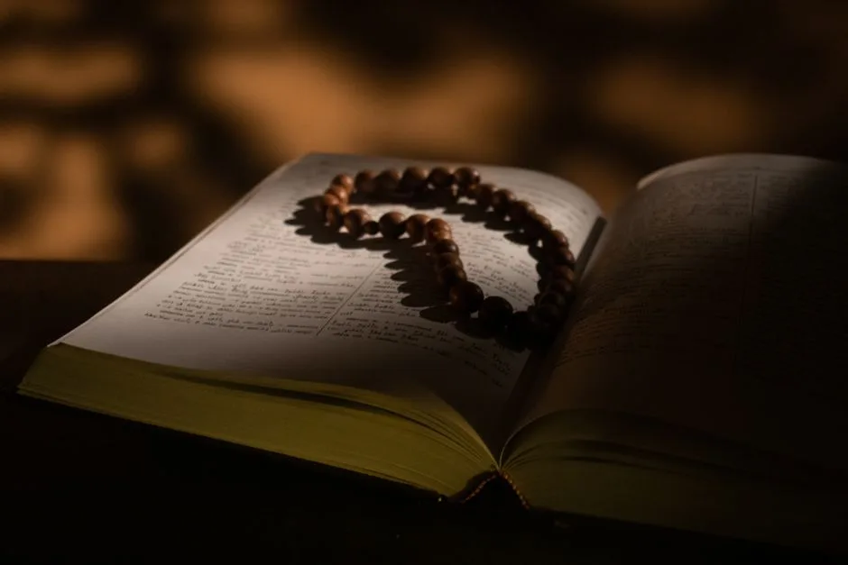 A tree with deep, visible roots, echoing the firm, established faith Paul urges the Colossian church to hold onto