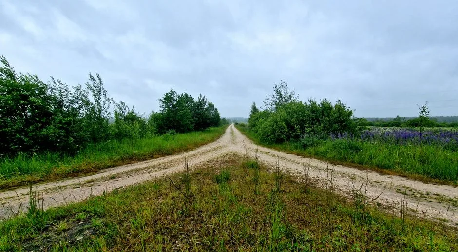 What Does the Bible Say About a Fool? A Devotional Guide