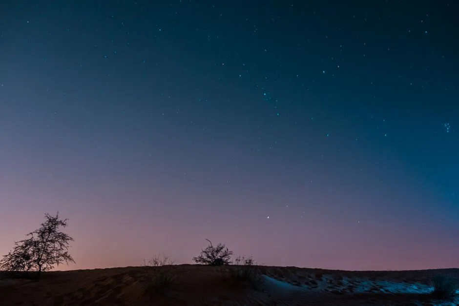 A vast star-filled sky over open desert — creation as the evidence Scripture points to
