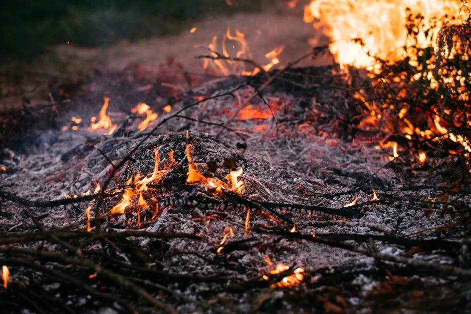 A small spark beginning to catch in dry brush — the disproportionate damage careless words can cause