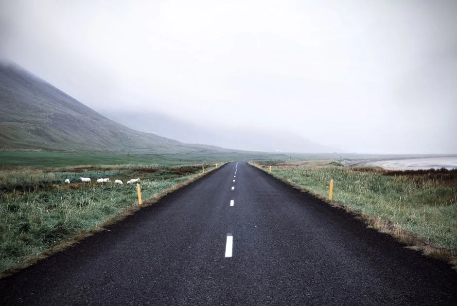 An open road at dawn — the long, hard discipline of choosing love over hatred