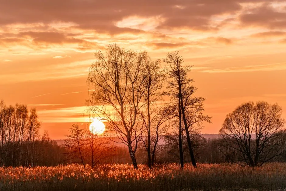 A peaceful sunset over a quiet field — the peace Scripture points toward after a painful ending