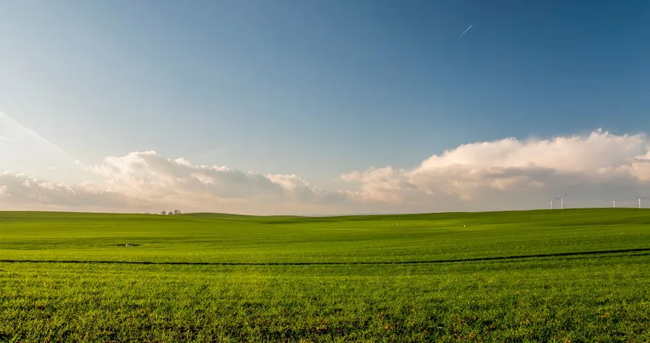 A vibrant, renewed landscape under clear sky — the substantial future hope Scripture describes