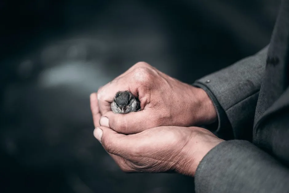Hands gently closing around a small bird — the image of catching and examining a thought before it flies further