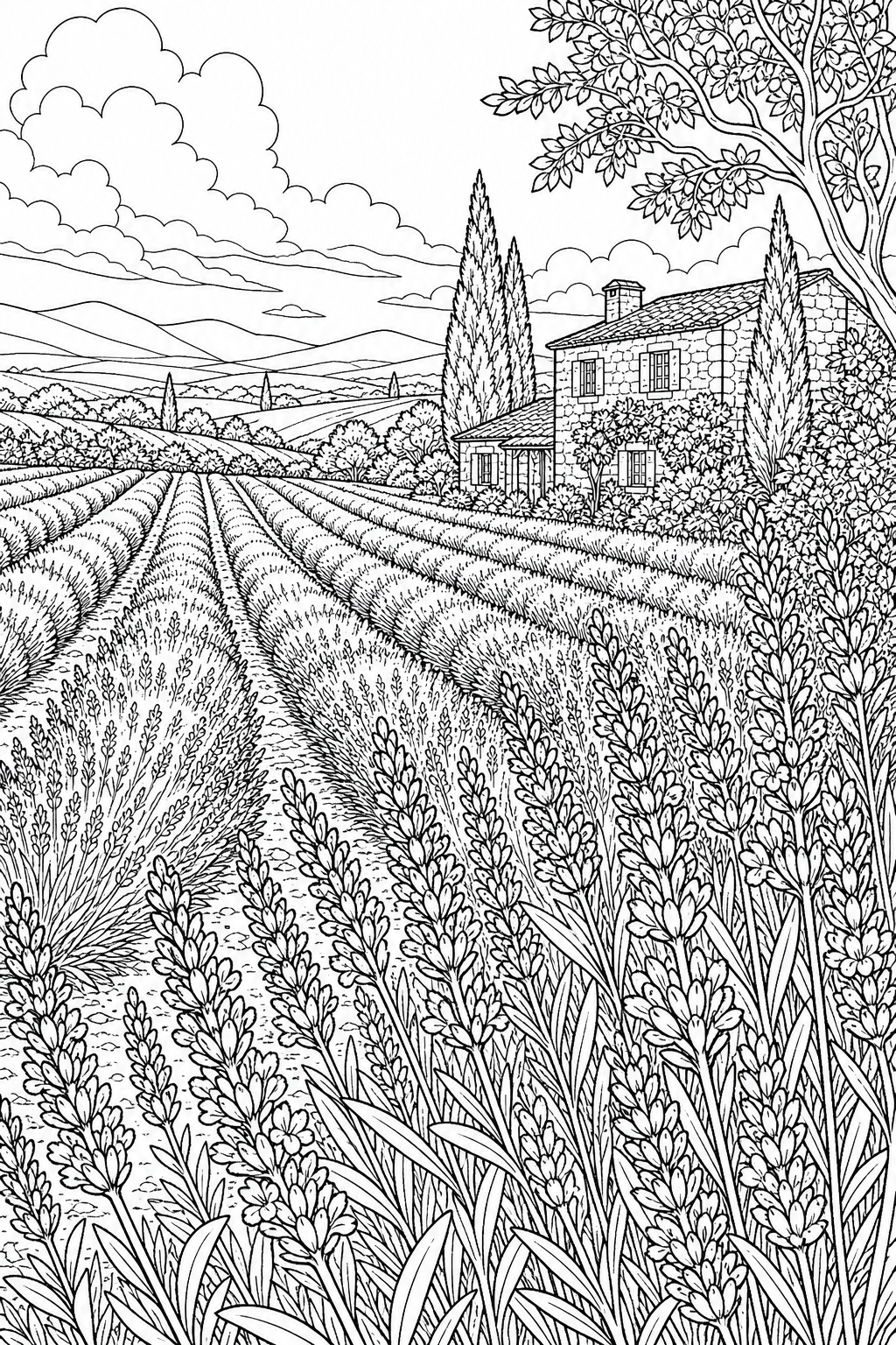 Free flower coloring page 8