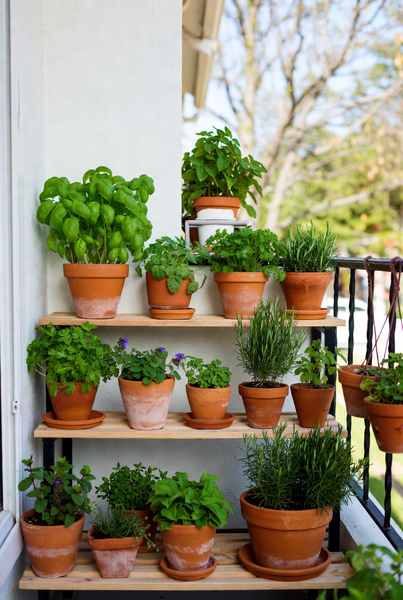 Indoor-Outdoor Herb Garden Balcony