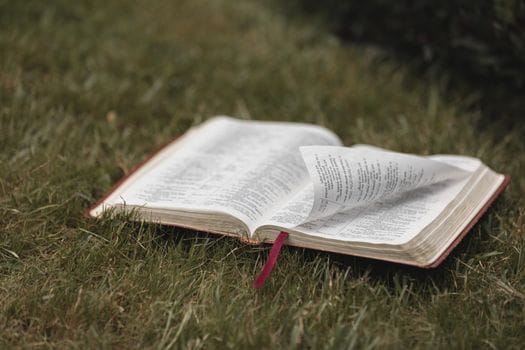 genesis 37 devotional