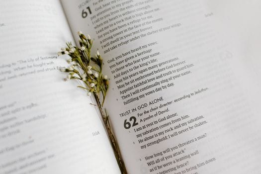 God's protection psalm